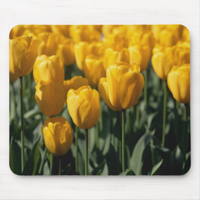 Tulips 3 mouse mat (Front)