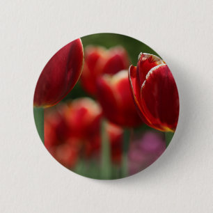 Tulips 6 Cm Round Badge