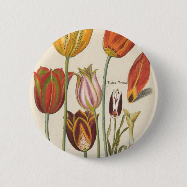 Tulips 6 Cm Round Badge (Front)