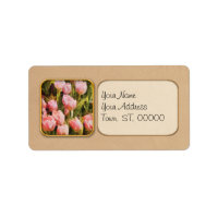 Tulips - A field of pink
