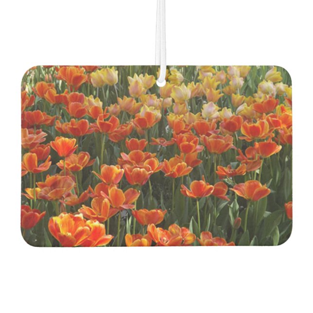 Tulips Air Freshener (Front)