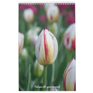 Tulips all year round calendar