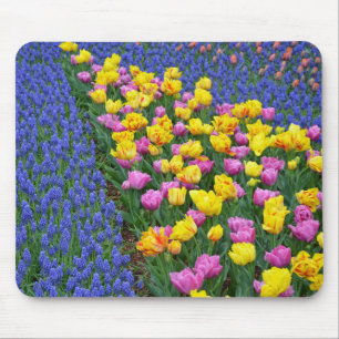 Tulips and bluebells flower garden mouse mat