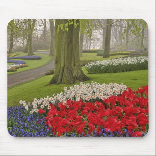 Tulips and daffodils, Keukenhof Gardens, Mouse Mat