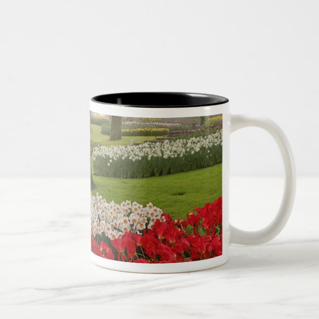 Tulips and daffodils, Keukenhof Gardens, Two-Tone Coffee Mug (Right)