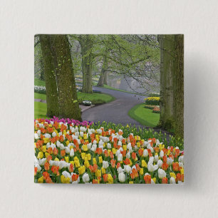 Tulips and roadway, Keukenhof Gardens, Lisse, 15 Cm Square Badge