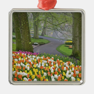 Tulips and roadway, Keukenhof Gardens, Lisse, Metal Tree Decoration
