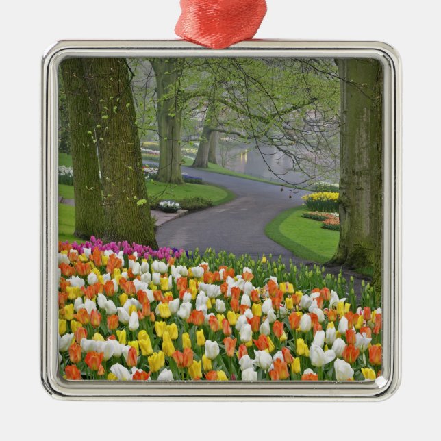 Tulips and roadway, Keukenhof Gardens, Lisse, Metal Tree Decoration (Front)
