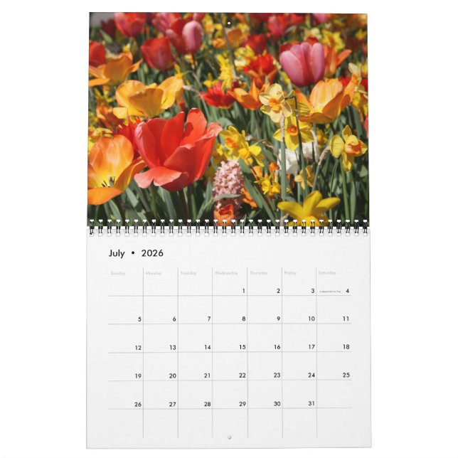 Tulips and Windmills Calendar (Jul 2026)