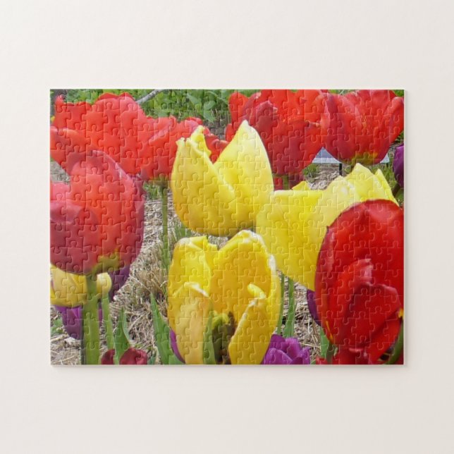 Tulips at the Garden Puzzle (Horizontal)