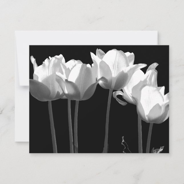 Tulips, B&W Wedding Invitation (Front)