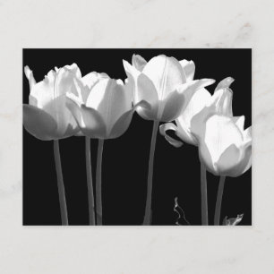 Tulips, B&W Wedding Invitation