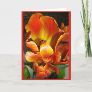 TULIPS Blank note card