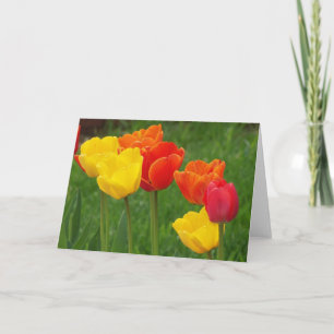 Tulips Brights Card