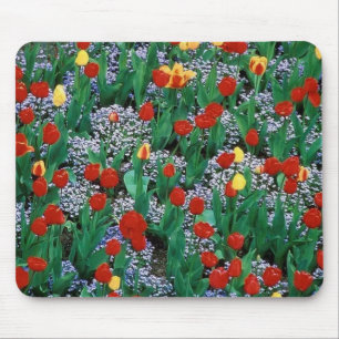 tulips by TDGallery Mouse Mat