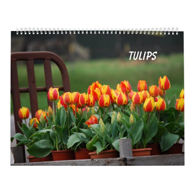 Tulips Calendar (Cover)