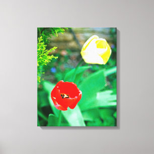 Tulips Canvas Print