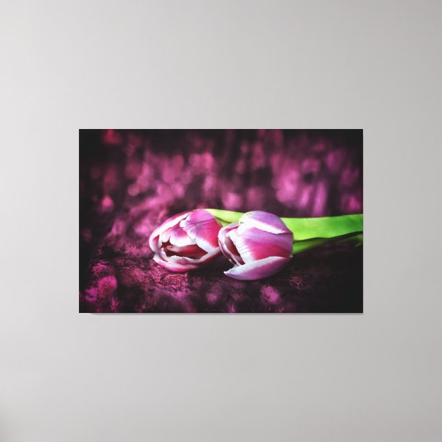 Tulips Canvas Print (Front)