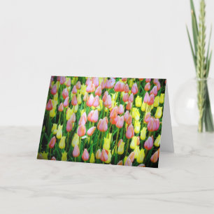 tulips card