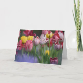 Tulips Card