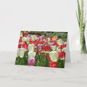 Tulips Card