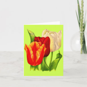 tulips card