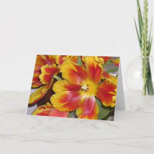 Tulips Card