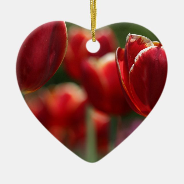 Tulips Ceramic Tree Decoration (Front)
