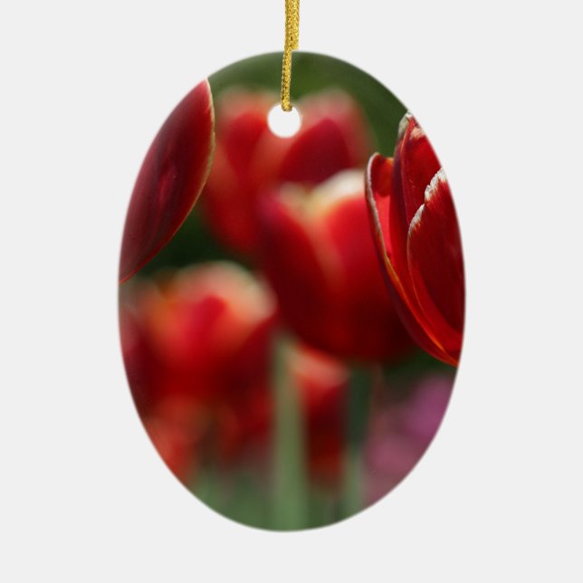 Tulips Ceramic Tree Decoration (Front)