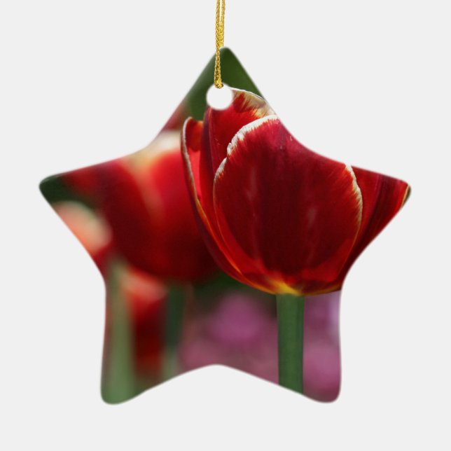 Tulips Ceramic Tree Decoration (Front)
