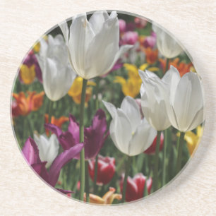 Tulips Coaster
