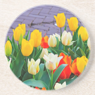 Tulips Coaster