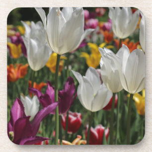 Tulips Coaster