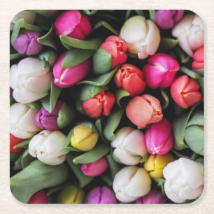 Tulips Colourful Flowers Easter Spring Square Paper Coaster