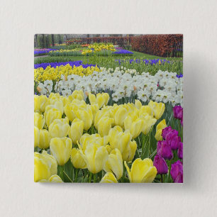 Tulips, daffodils, and Grape Hyacinth flowers, 15 Cm Square Badge