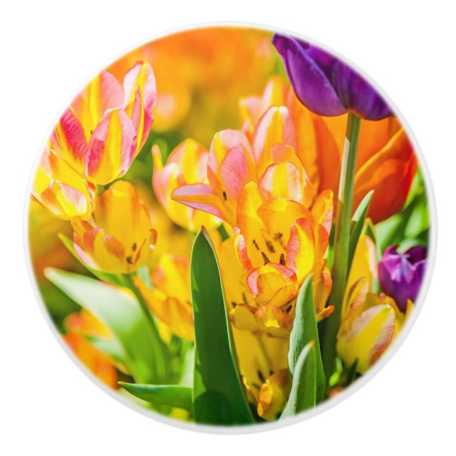 Tulips Enchanting 01 Ceramic Knob (Front)