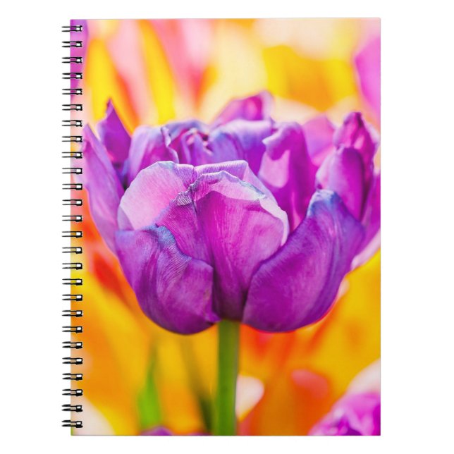 Tulips Enchanting 06 Notebook (Front)