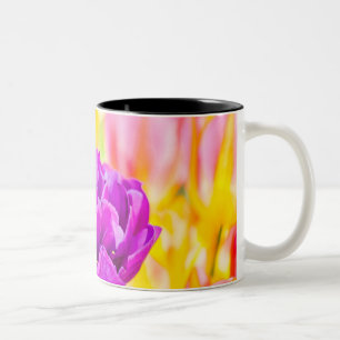 Tulips Enchanting 15 Two-Tone Coffee Mug