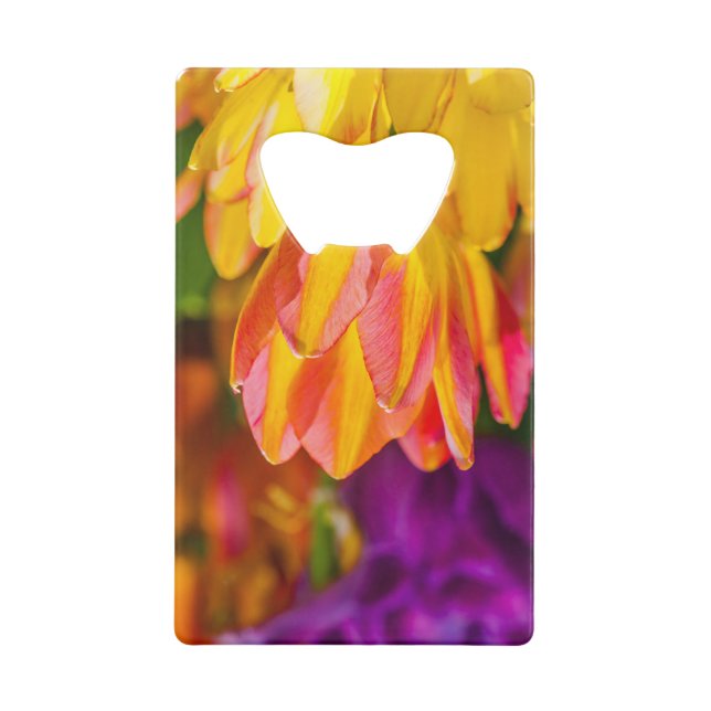 Tulips Enchanting 16 (Back)
