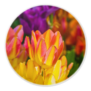 Tulips Enchanting 16 Ceramic Knob