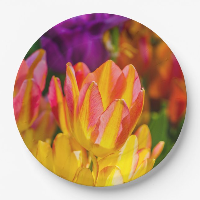 Tulips Enchanting 16 Paper Plate (Front)
