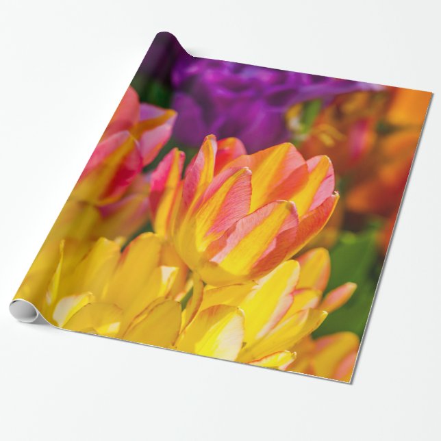 Tulips Enchanting 16 Wrapping Paper (Unrolled)