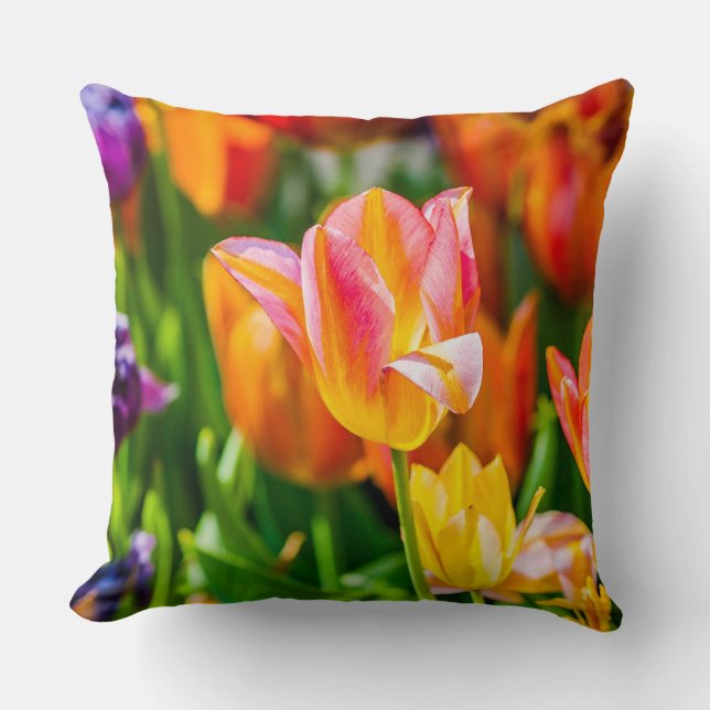 Tulips Enchanting 17 Cushion (Front)
