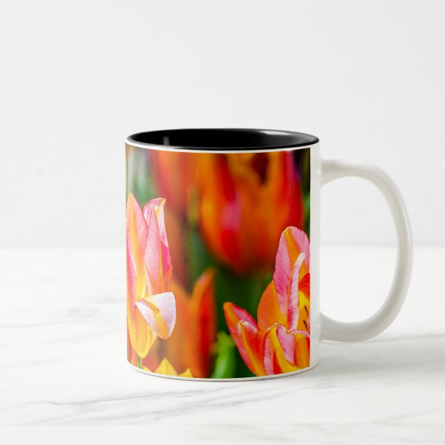 Tulips Enchanting 17 Two-Tone Coffee Mug (Right)