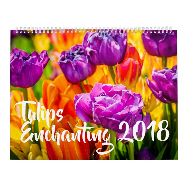 Tulips Enchanting beautiful Calendar (Cover)