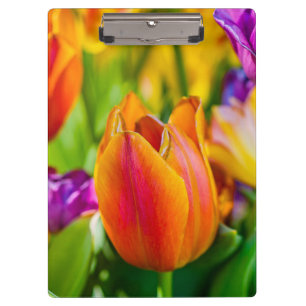 Tulips Enchanting Clipboard