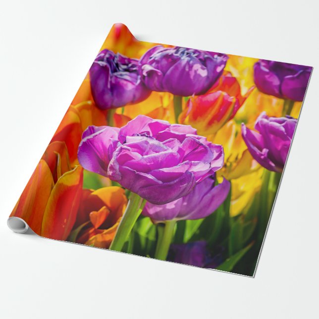 Tulips Enchanting colourful Wrapping Paper (Unrolled)