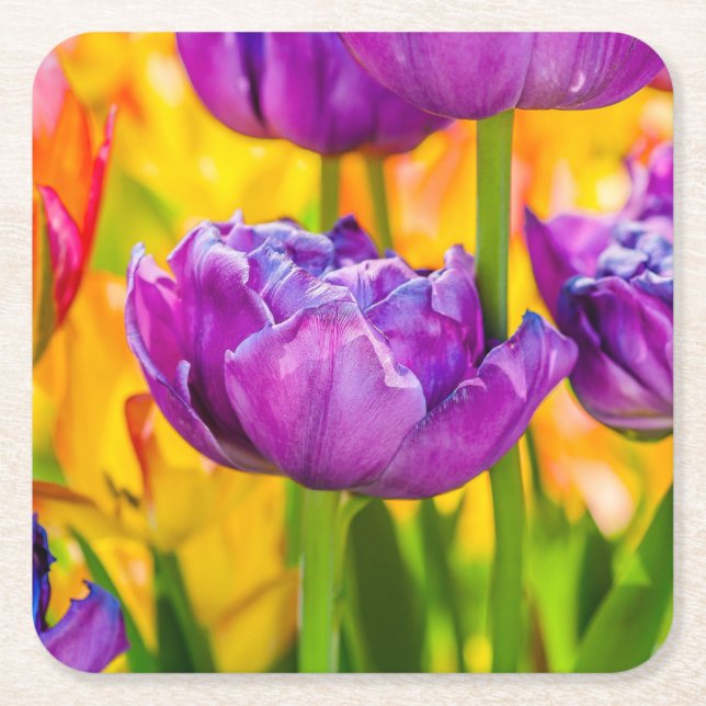 Tulips Enchanting Deep Pink Square Paper Coaster (Front)
