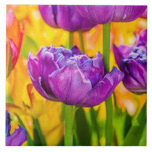 Tulips Enchanting Deep Pink Tile
