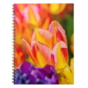 Tulips Enchanting Notebook